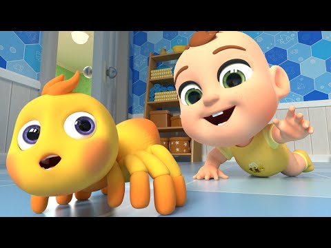 Itsy Bitsy Spider Song - Newborn Baby songs - Nursery Rhymes & Kids Songs