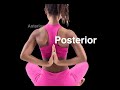 Anatomical Terminology and Muscle Identification
