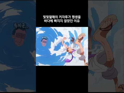 빛빛열매의 키자루가 평생을 바다에 빠지지 않았던 이유 #onepiece #원피스