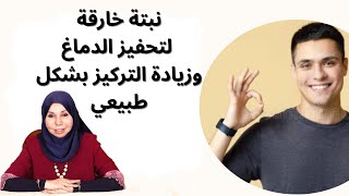 نبتة خارقة لتحفيز الدماغ وزيادة التركيز بشكل طبيعي