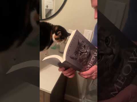 Cats have a great gift for language#cat#funny #cats #for #foryou #fyp #foryoupage #funnyvideo #cute