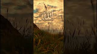 Subhan Allah 🫨😍🤍 #islamicstatus #trendingshorts #virlshorts #fyp #trending #islamicvideo
