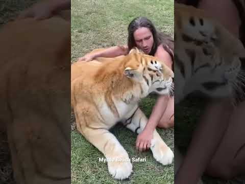Bath Time 🐯🧼❤️