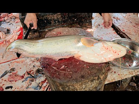 Outstanding Perfect Size Boal Fish Cutting Skills 😊😱 | Fish Cutting Expert ||