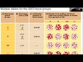 Genetics and Inheritance Concepts