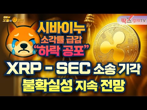 리플-SEC 소송 종료 요청 기각 / 시바이누 소각률 99% 급감 [250627 다시 오늘의 코인] (박진호,권지영)]