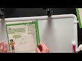 Triangle Classification and Properties