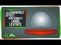 Understanding the Leidenfrost Effect