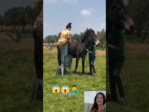 #funny #horselov #sansansehorhorse #horsecare #يوميات_ترند #horselove #automobile #horseriding #love