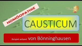 Das Arzneimittelbild CAUSTICUM im Spiegel von Clemens M.F. von Bönninghausen