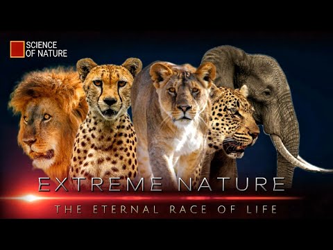 Extreme Nature - The Eternal Race of Life ( New Year Special )