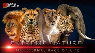 Extreme Nature - The Eternal Race of Life ( New Year Special )