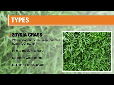 Types Of Grass, Types Of Grass For Landscape