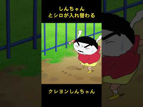 しんちゃんとシロが入れ替わる #music #クレヨンしんちゃん #funny #アニメ #面白い #コント #animation