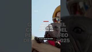 Conoce al ganador del concurso del Perro Más Feo del Mundo 2025