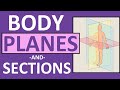 Exploring Body Planes and Sections in Anatomy