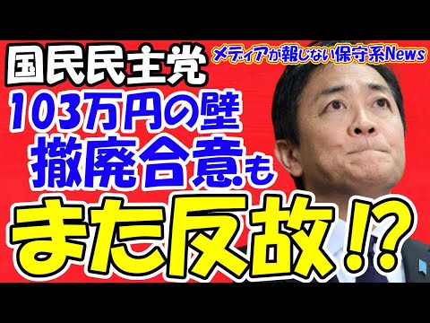 【国民民主党】１０３万円の壁撤廃合意もまた反故にされる！？玉木雄一郎氏はまた騙される！？自公国３党合意の落とし穴！！キーマンは宮沢洋一税調会長ではなく森山幹事長！！【メディアが報じない保守系News】