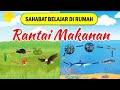 Kuis Rantai Makanan