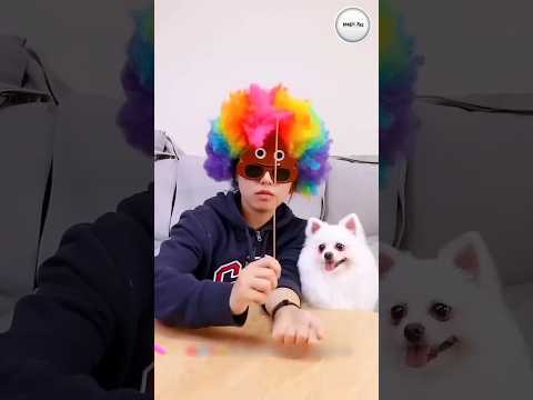 Amazing Magic Trick Failed ❌? #shorts #magic #viral #song #youtubeshorts
