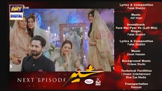 Sher Episode 27 Teaser - Ary Digital- Top Pakistani Dramas #sher #sarahkhan #danishtamoor 