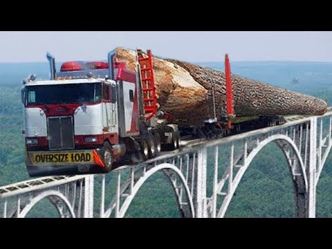 10 Extreme Dangerous Fastest Logging Wood Truck, Heavy Equipment Chainsaw & Sawmill Machine Operator