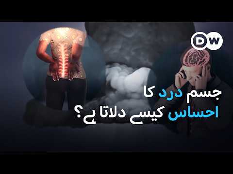 جب جسم میں درد ہوتا ہے تو کیا ہوتا ہے؟ | DW Urdu |