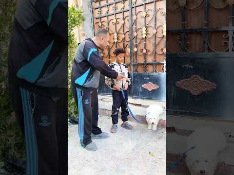 أب يمنع ابنه من دخول الكلب المنزل 😮 #mano #🎬
