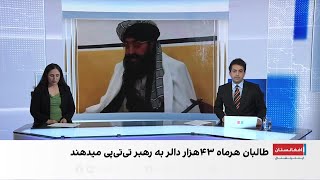 طالبان ماهانه ۴۳ هزار دالر به رهبر تی‌تی‌پی می‌پردازد