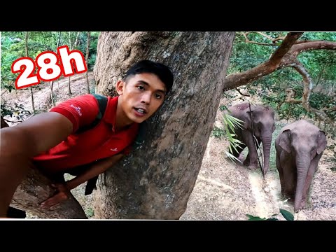 Theo Dấu VOI RỪNG | 28H SINH TỒN Trong Nông Trường Số 7 Chỉ Với 1 Con Dao