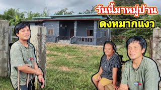 วันนี้เข้ามาหมู่บ้านดงหมากแงว15 สิงหาคม ค.ศ. 2026