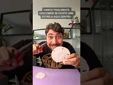 Vamos finalmente descobrir se existe mesmo uma estrela dentro da bolacha do mar.