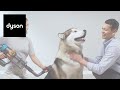 Pet Grooming Best Practices