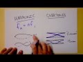 Harmonics in Half-Open Tubes