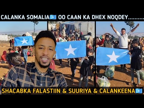 CALANKA SOMALIA🇸🇴 OO CAAN KA NOQDEY KAAMAMKA BARIGA DHEXE😨 SHACABKA REER FALASTIN & SUURIYA AYAA....