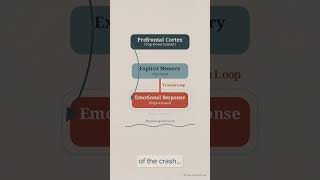 How Trauma Rewires the brain!