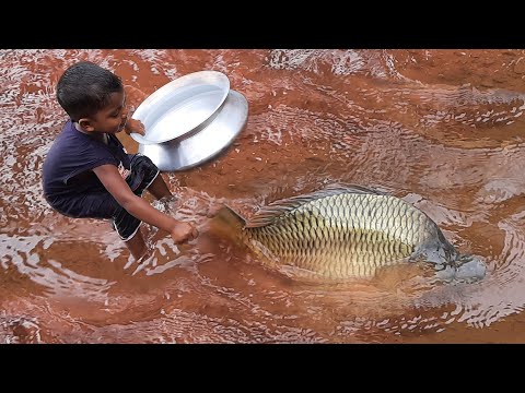 Amazing Hand Fishing Video | Traditional Boy Catching Fish By Hand in Pond Water #fishing