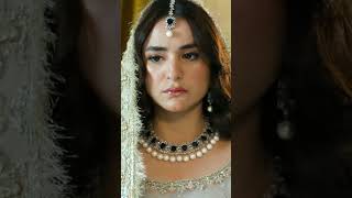 #wahajali #yummnazadi