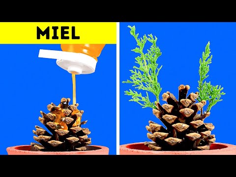 Trucos inesperados de cultivo de plantas y jardinería que no debes perderte