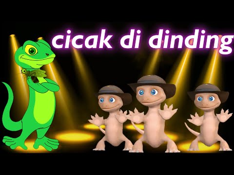 Lagu Cicak Cicak di dinding Lagu Seru Populer Lagu Anak Balita Animasi Cicak Gaul Cicak di Dinding