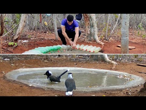 AS AVES ESTAVAM MUITO AFIM DE TOMAR BANHO...