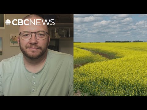 YouTube video thumbnail: 'We're Feeling the Hurt': Canadian Canola Farmers Brace for Devastating Impacts of China's Tariffs