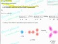 Hybrid Orbitals and Molecular Geometry