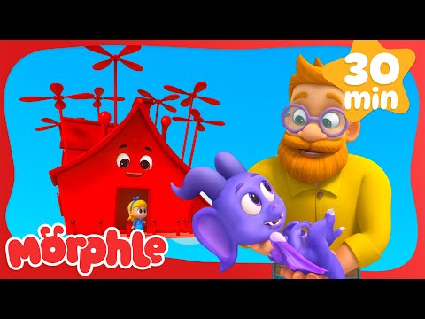 Maison magique | Morphle en Français | Dessins Animés Pour Enfants