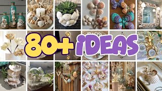 80+ Seashells are proof that nature is the best designer.