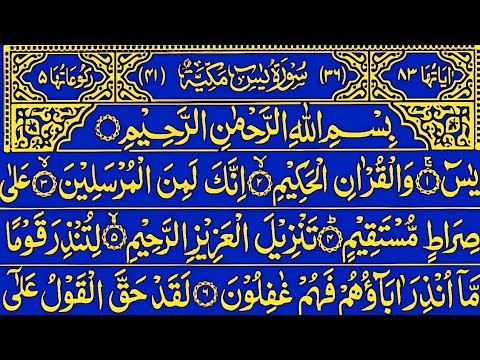 Surah Yaseen Surah Rahman || Best Qur'an Recitation || Surah Yasin full Episode || Qur'an Tilawat