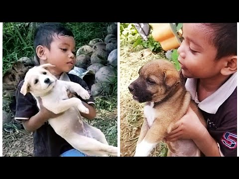 Anak anjing lucu naik sepeda 💟 Zefanya Oyanio