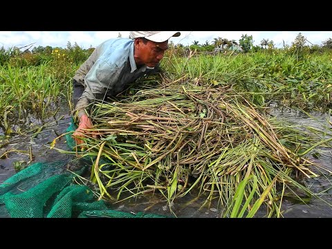 Mưu Sinh Bằng Nghề Ủ LƯƠN