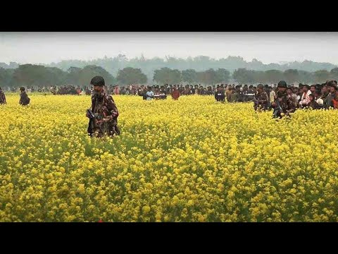 যে কারণে ভারতকে জবাব দিল বাংলার জনগণ- বি'জিবি!সী'মান্তের ঘটনা বাংলাদেশের সাহসিকতা!মানুষ ভ/য় পায়না