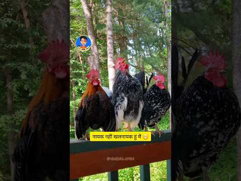 Nayak Nahi Khalnayak Hu || Mai Sab LOol Hai  #funny #sabloolhai