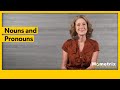 Understanding Pronouns and Nouns